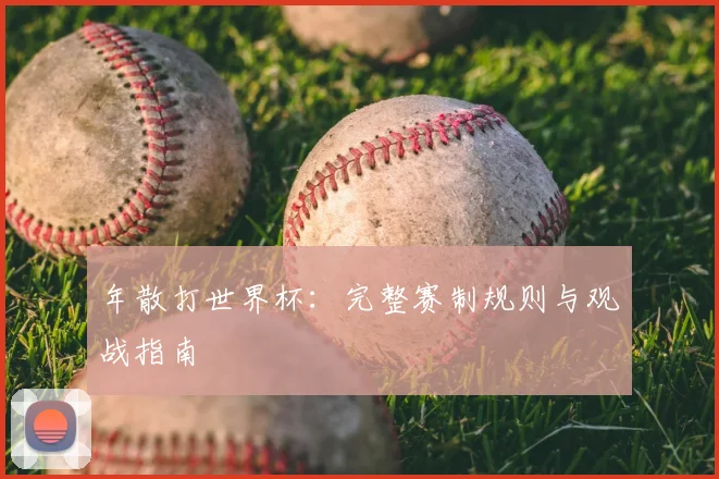 年散打世界杯:完整赛制规则与观战指南